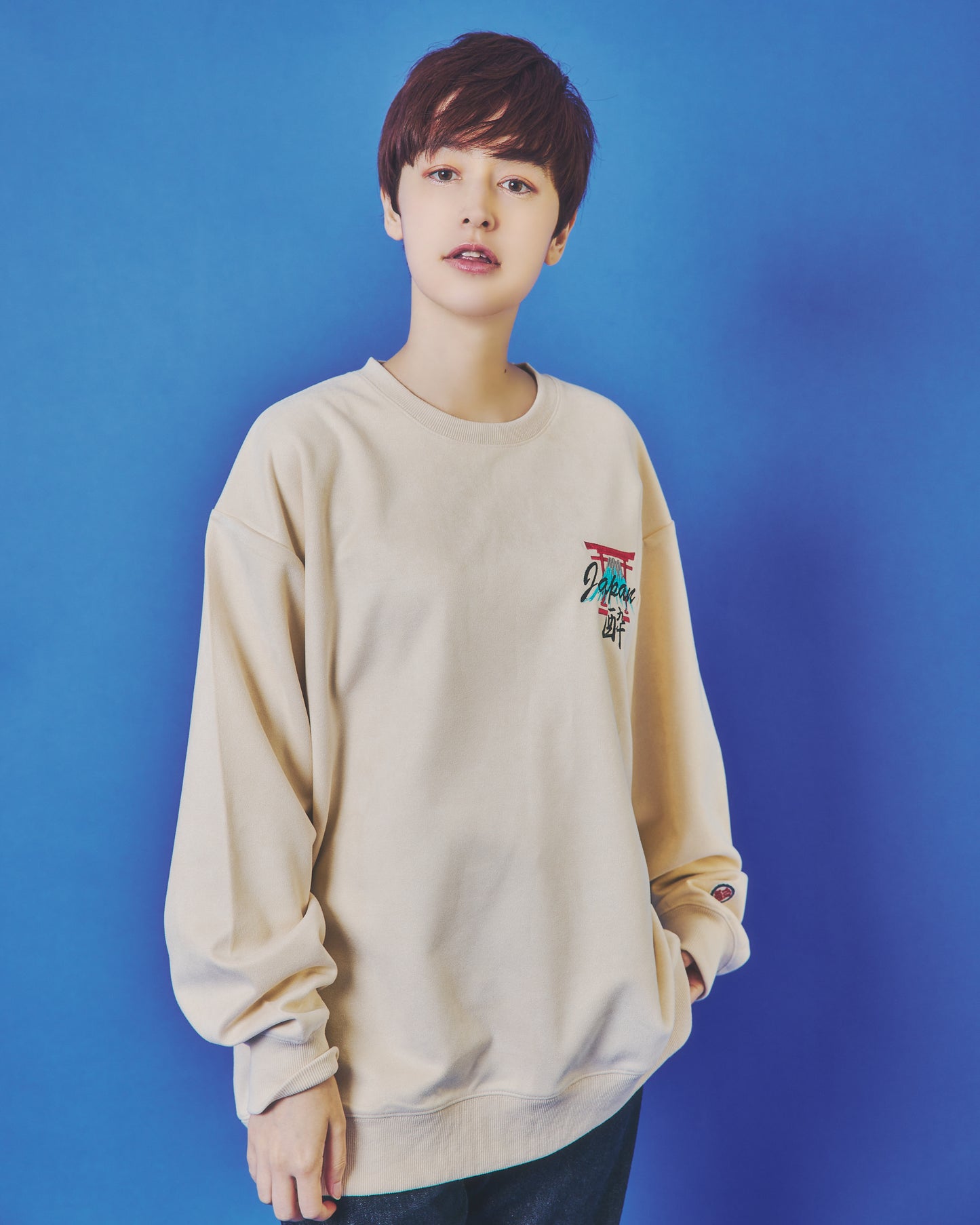 【YOIDORE】 スカ刺繍 スエードタッチ クルーネック (845617)